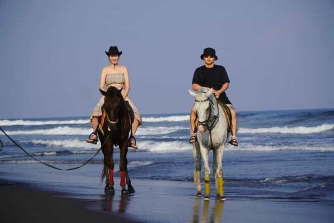 Bali: Horse Riding Beach Experience Include Transport - Itinerary Details