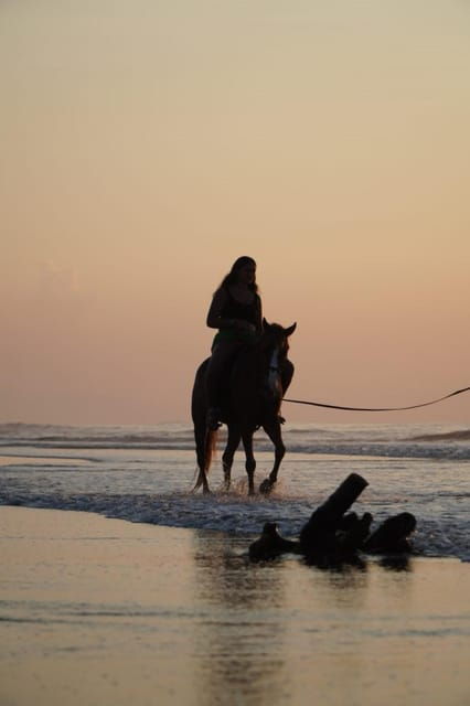 Bali: Horse Riding Beach Experience Include Transport - Customer Reviews