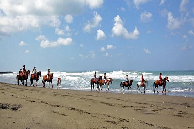 Bali Horse Riding - Beach, Rice Field & Village - Morning, Afternoon, and Sunset - Benefits of Bali Horse Riding