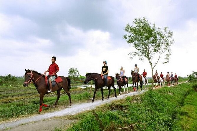 Bali Horse Riding - Beach, Rice Field & Village - Morning, Afternoon, and Sunset - Riding Schedule Options Available