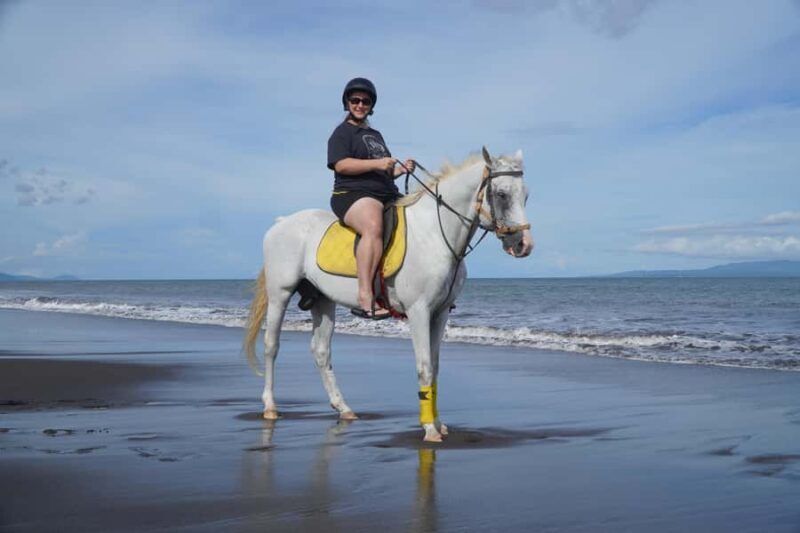 Bali: Horse Riding Experience in Sanur (1 Hour ride) - An Honest Look at the Bali Horse Riding Tour