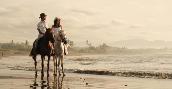 Bali Horse Riding on Black Sand Beach - What to Expect During the Ride