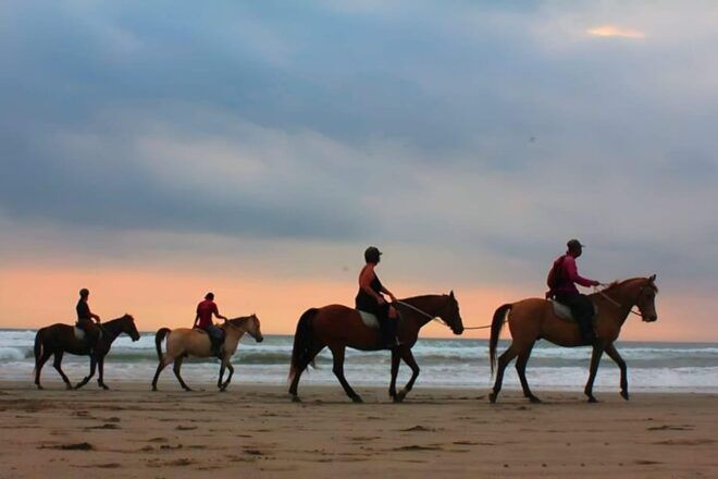 Bali Horse Riding on Black Sand Beach - Highlights of the Tour