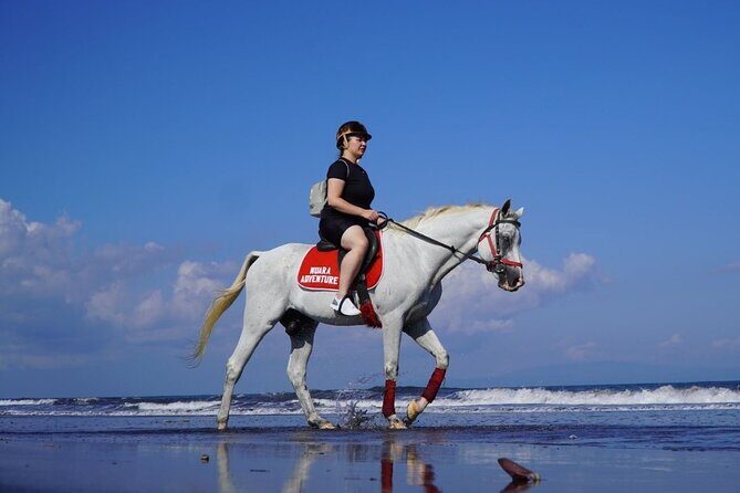 Bali Horse Riding on The Beach Experience - Good To Know