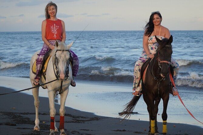 Bali Horse Riding on The Beach Experience - Final Thoughts: Is This Tour Right for You?