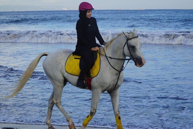 Bali Horse Riding on The Beach Experience - What to Expect from the Bali Horse Riding Experience