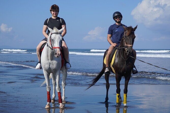 Bali Horse Riding on The Beach Experience - The Experience’s Drawbacks and Considerations