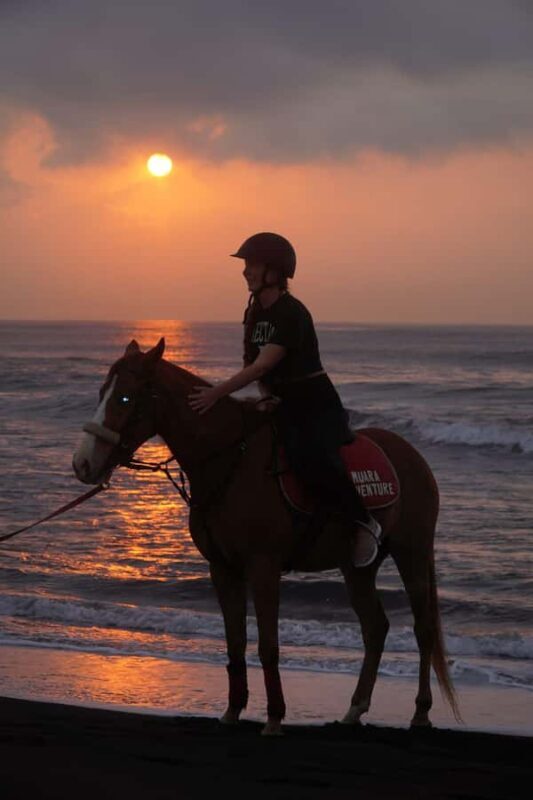 Bali: Horse Riding Sanur Beach Experience with Transport - Who Will Love This Experience?  