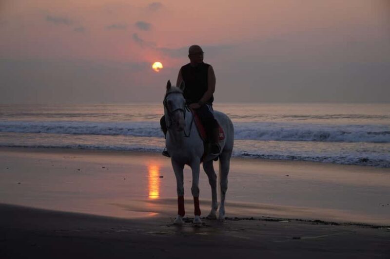 Bali: Horse Riding Sanur Beach Experience with Transport - FAQ  