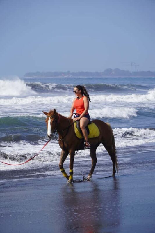 Bali: Horse Riding Sanur Beach Experience with Transport - Good To Know