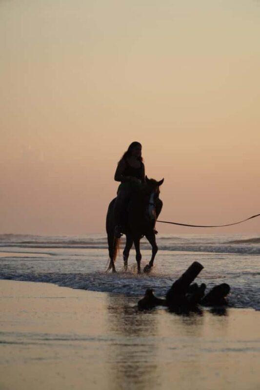 Bali: Horse Riding Sanur Beach Experience with Transport - A Closer Look at the Bali Horse Riding Experience