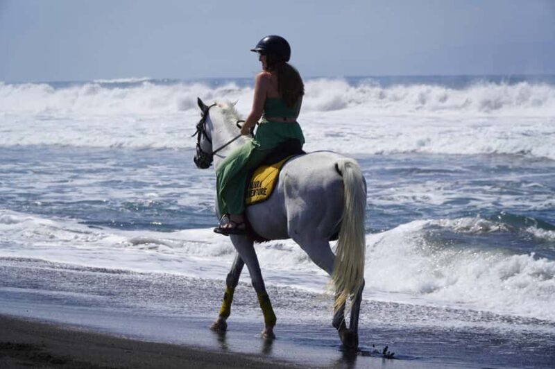 Bali: Horse Riding Sanur Beach Experience with Transport - The Experience from the Reviewers’ Perspective