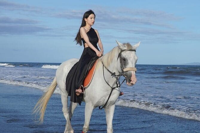 Bali Horse Riding Sanur Beach include Transport - Good To Know