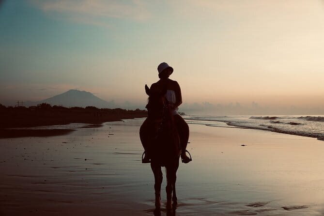 Bali Horse Riding Sanur Beach include Transport - An Authentic Ride Through Bali’s Natural and Cultural Beauty