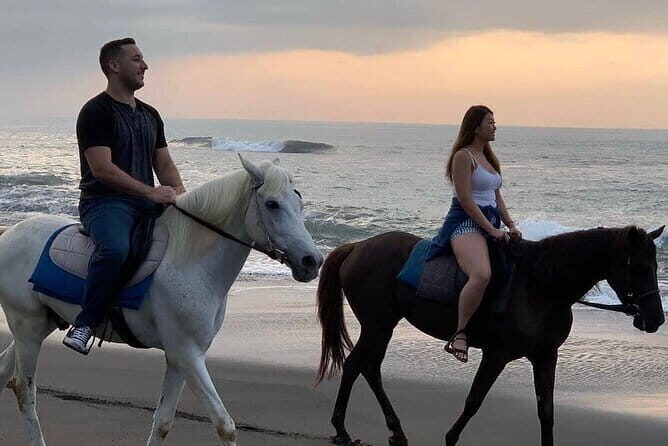 Bali Horse Riding Seminyak Beach Experience Private Transport - The Itinerary Breakdown