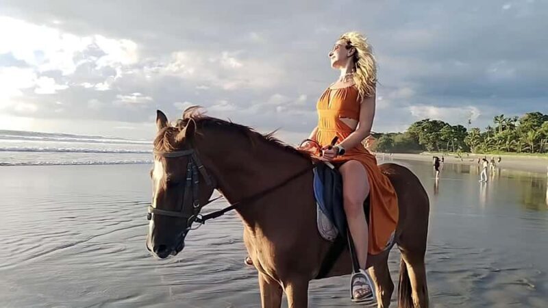 Bali: Horse Riding Tour on Seminyak Beach Include Transport - An In-Depth Look at the Seminyak Beach Horse Riding Experience