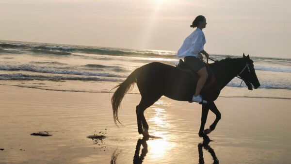 Bali: Horse Riding Tour on Seminyak Beach Include Transport - Important Information
