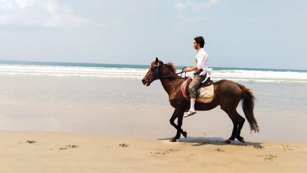 Bali: Horse Riding Tour on Seminyak Beach Include Transport - Questions You May Have