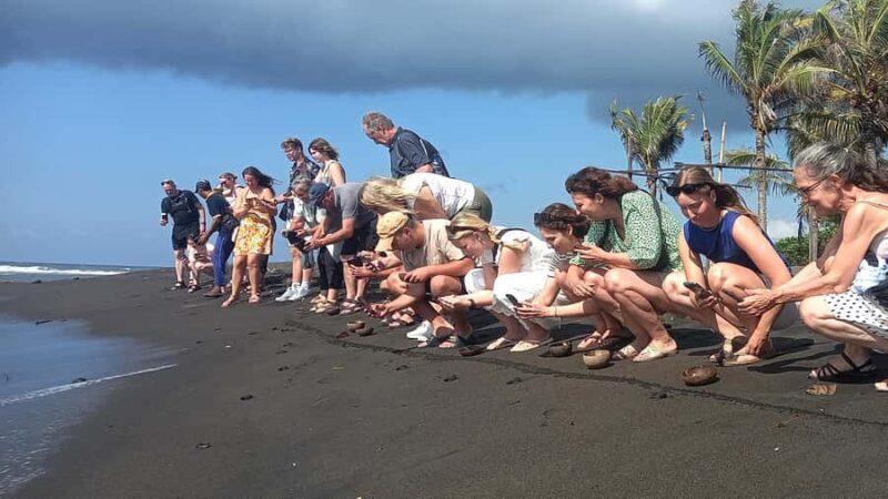 Bali: Horse Riding & Turtle Release Experience at Saba Beach - Logistics & Practical Details