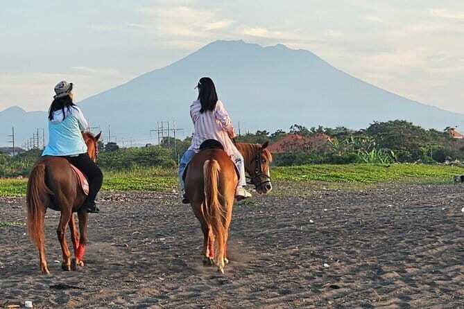 Bali Horse Riding, Waterfall, Rice Terrace, Lunch - All Inclusive - Good To Know