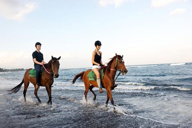 Bali Horse Riding + Waterfall + Rice Terrace + Lunch - Horse Riding Experience