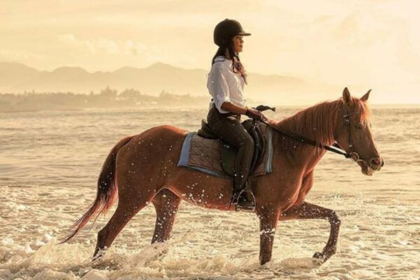 Bali Horse Riding + Waterfall + Rice Terrace + Lunch - Transportation Details