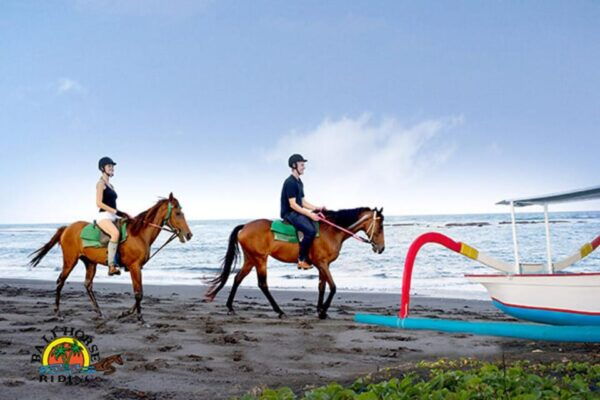 Bali Horse Riding + Waterfall + Rice Terrace + Lunch - Customer Feedback and Tips