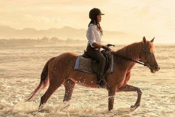 Bali Horse Riding + Waterfall + Rice Terrace + Lunch - Questions You May Have