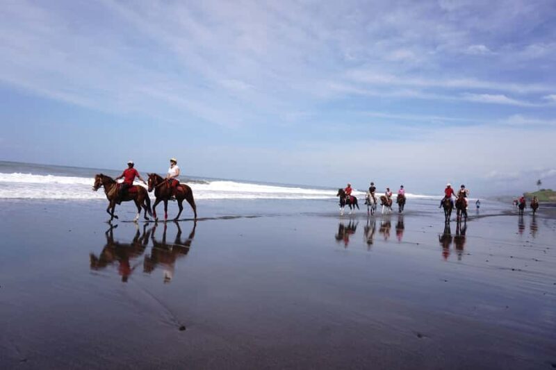 Bali: Horseback Riding Tour - Rice Fields & Pig Stone Beach - Good To Know