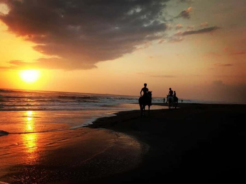 Bali: Horseback Riding Tour - Rice Fields & Pig Stone Beach - The Itinerary: From Rice Fields to the Beach