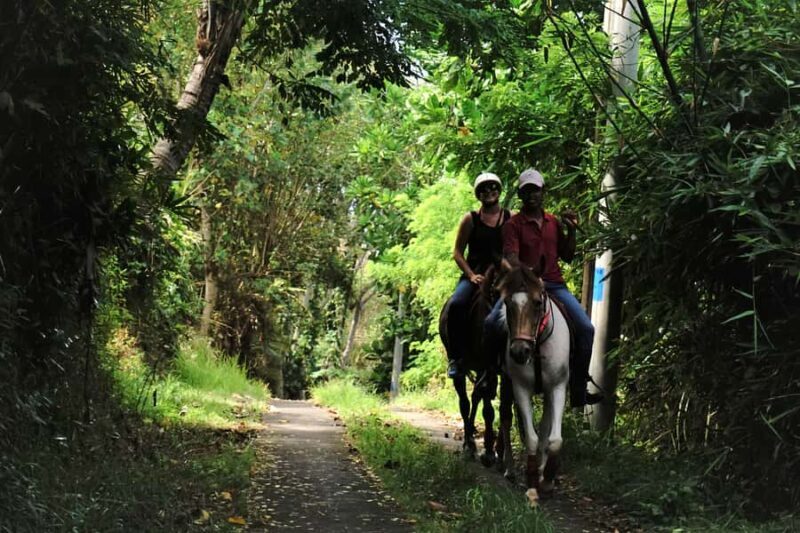 Bali: Horseback Riding Tour - Rice Fields & Pig Stone Beach - Value and Practicalities
