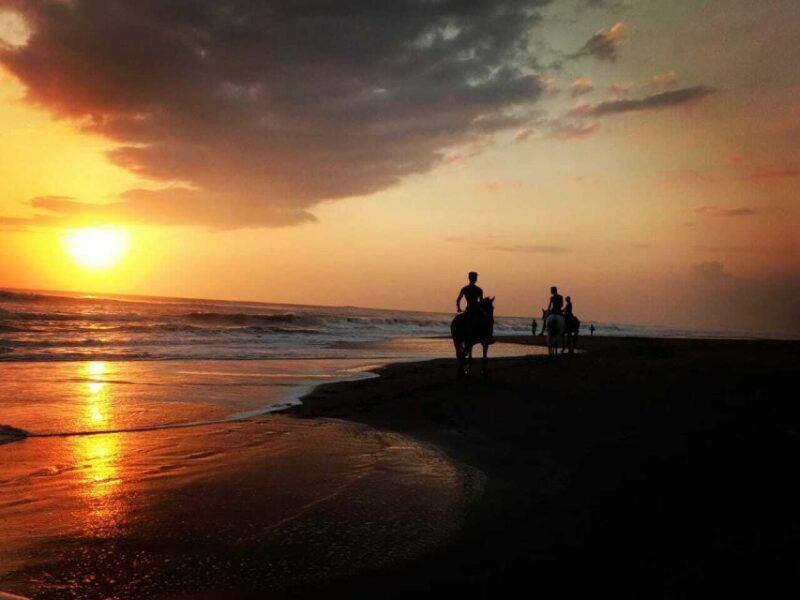 Bali: Horseback Riding Tour - Rice Fields & Pig Stone Beach - Authentic Experiences & What You’ll Remember