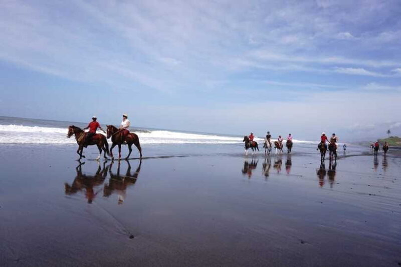 Bali: Horseback Riding Tour - Rice Fields & Pig Stone Beach - Who Should Consider This Tour?