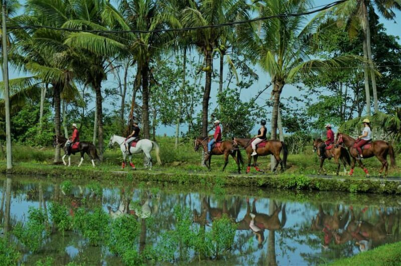 Bali: Horseback Riding Tour - Rice Fields & Pig Stone Beach - Riding from Village to Pig Stone Beach