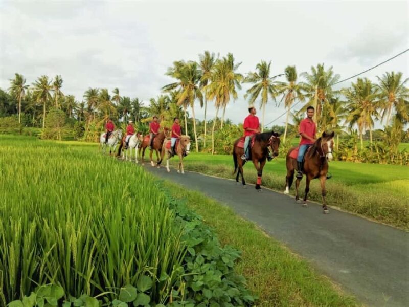 Bali: Horseback Riding Tour - Rice Fields & Pig Stone Beach - The Return Journey Through Village Streets