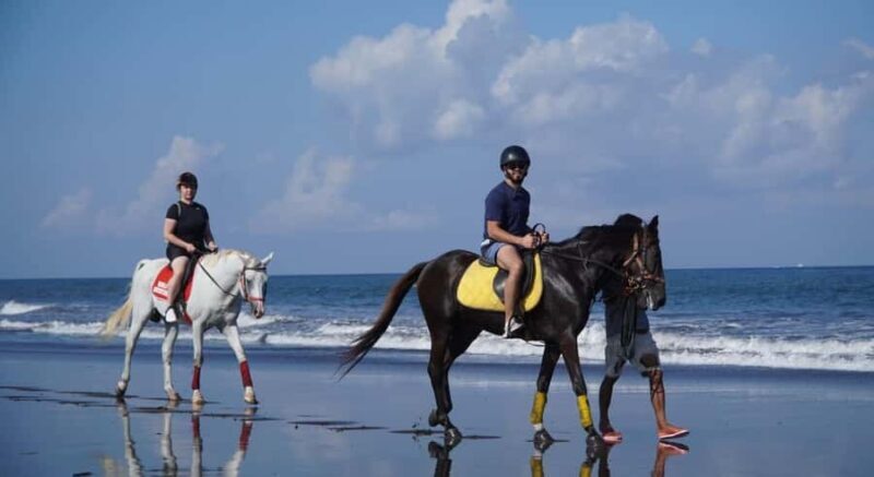 Bali: Horseback Riding Tour with Hotel Transfer - Good To Know