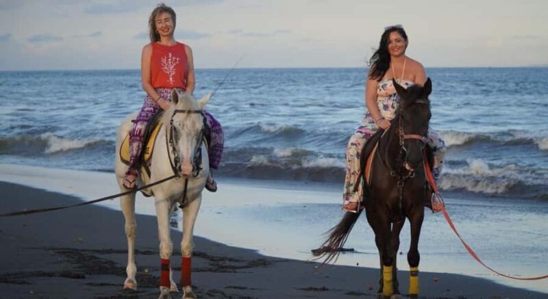 Bali: Horseback Riding Tour with Hotel Transfer - Who Will Love This Experience?