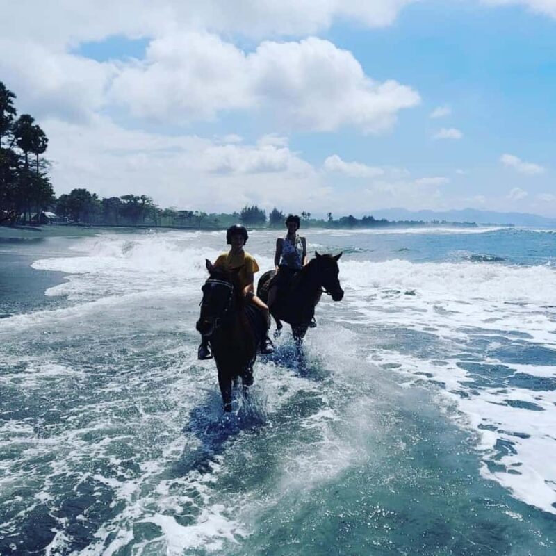 Bali: Horseback Tour Through Saba Beach and Local Temples. - Starting Point and Booking