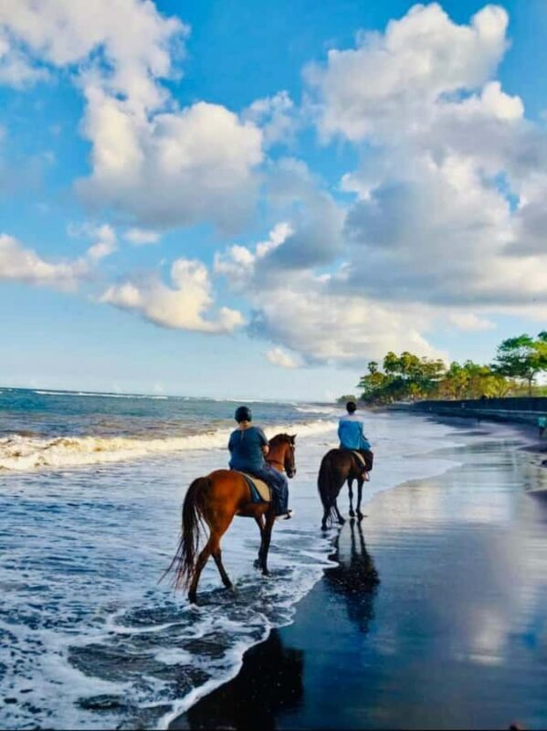 Bali: Horseback Tour Through Saba Beach and Local Temples. - The Ride: Saba Beach and Beyond