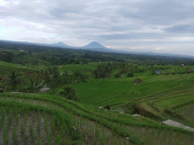 Bali in 1 Day : Iconic Temples -Unesco Sight - All Inclusive - UNESCO World Heritage Sites