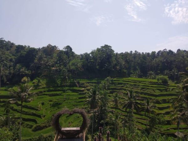 Bali in 1 Day : Iconic Temples -Unesco Sight - All Inclusive - Booking Your Adventure