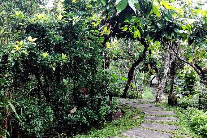 Bali in 1-Day : Rice Terrace, Volcano, Tanah lot - All Inclusive - Good To Know