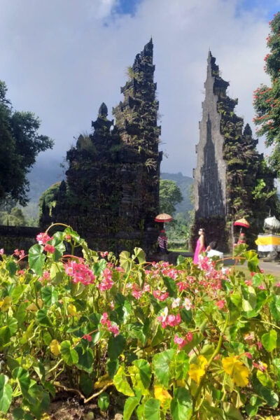 Bali: Incredible Full Day Private Charter - Health and Safety Measures