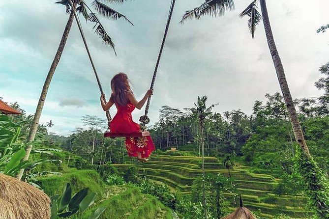 Bali Individual Route With Private English Speaking Driver - Pricing and Booking Details