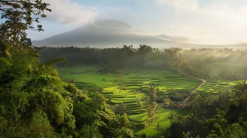 Bali: Jaga Satru Waterfall, Goa Lawah & Sidemen Tour - Introduction