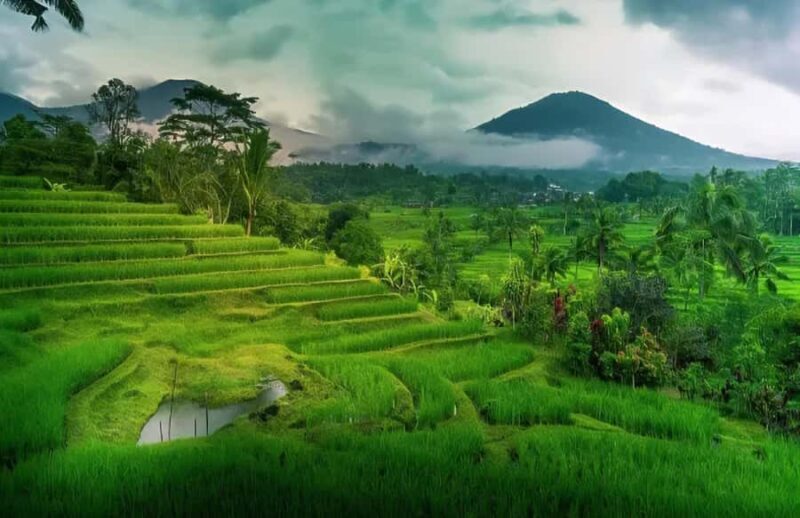 Bali: Jaga Satru Waterfall, Goa Lawah & Sidemen Tour - Good To Know