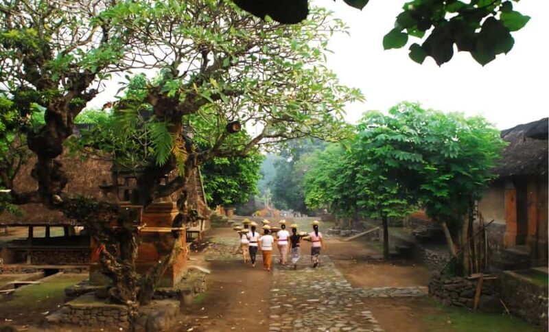 Bali: Jaga Satru Waterfall, Goa Lawah & Sidemen Tour - The Practicalities