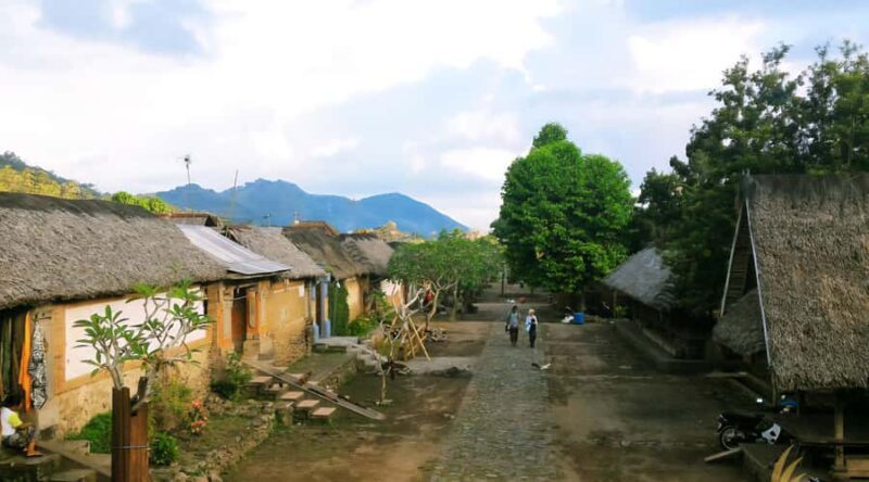 Bali: Jaga Satru Waterfall, Goa Lawah & Sidemen Tour - Authentic Experience & Unique Insights