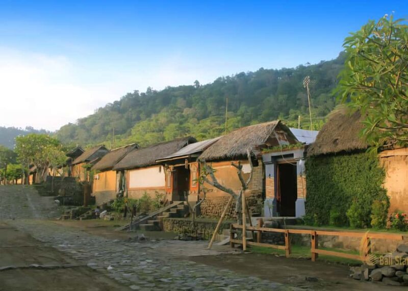 Bali: Jaga Satru Waterfall, Goa Lawah & Sidemen Tour - The Sum Up