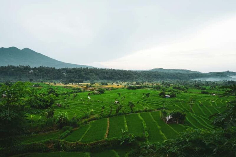 Bali: Jatiluwih Rice Terrace, Leke-Leke & Ulun Danu Beratan - Who Will Love This Tour?